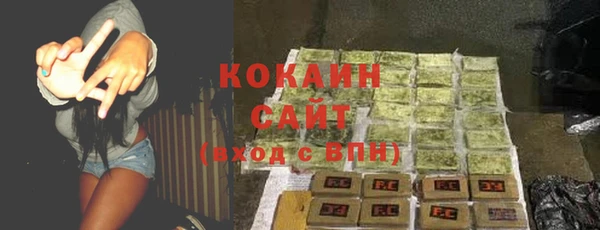 шишки Балабаново