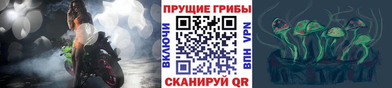 mega как зайти  Беломорск  Псилоцибиновые грибы GOLDEN TEACHER 
